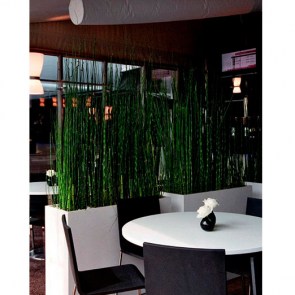 Equisetum-Divider-Wall.jpg